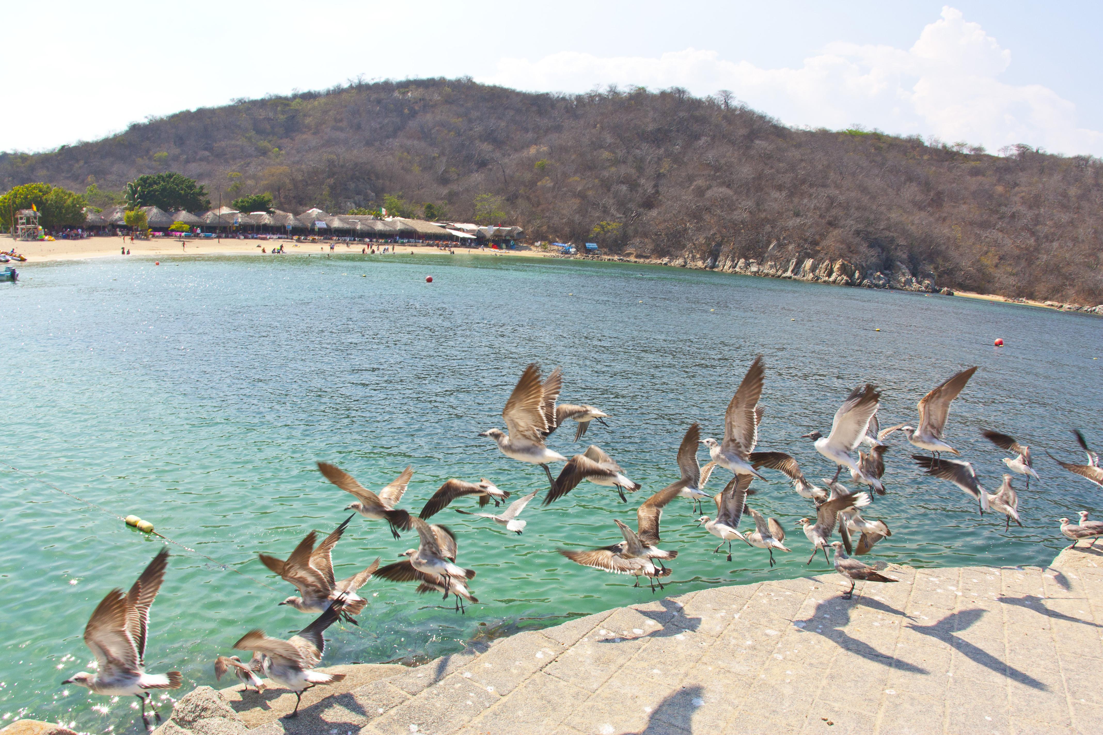 Villa Blanca Huatulco Santa Cruz Huatulco Eksteriør bilde
